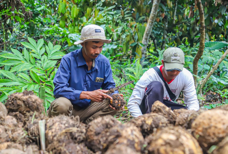 Astra Dorong Komoditas Unggulan Lokal, Tingkatkan Pendapatan Masyarakat Lombok dan Bandung