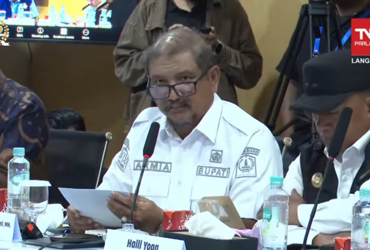 Tumpukan Kayu Sisa Banjir Mau Diapakan? Bupati Aceh Tamiang Tanya Menhut