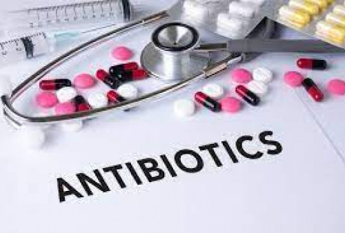 Penggunaan Antibiotik Jangan Sampai Keliru, Waspada Bakteri Kebal pada Antibiotik
