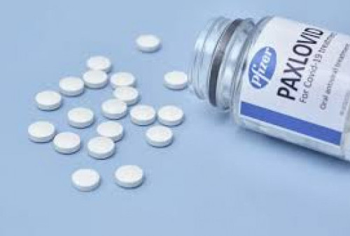 WHO Rekomendasikan Pil Antivirus Covid-19 Paxlovid Buatan Pfizer, Cegah Masuk RS