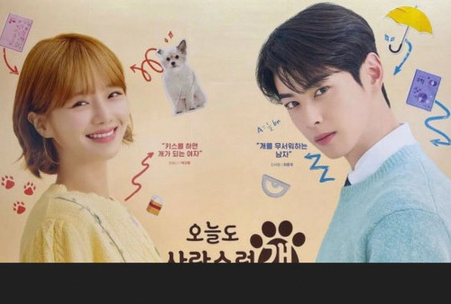 5 Alasan untuk Nonton A Good Day to be a Dog yang Dibintangi Cha Eun Woo dan Park Gyu Young