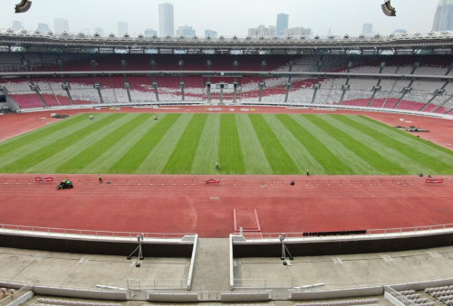 PSSI Bekerja Sama sengan PPK GBK Percepat Perbaikan Rumput Gelora Bung Karno Jelang Indonesia vs Australia