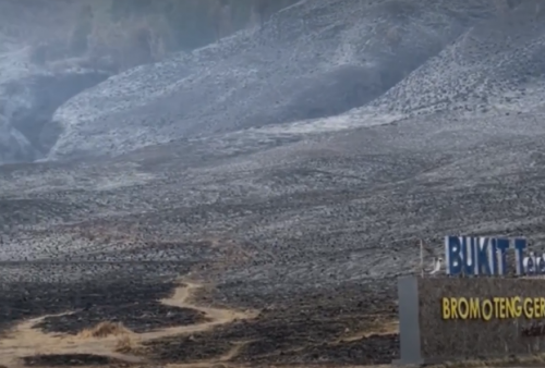 Hitung Kerugian Gunung Bromo Akibat Flare Foto Prewedding, Biaya Pemadaman hingga Satwa Diungkap TNBTS