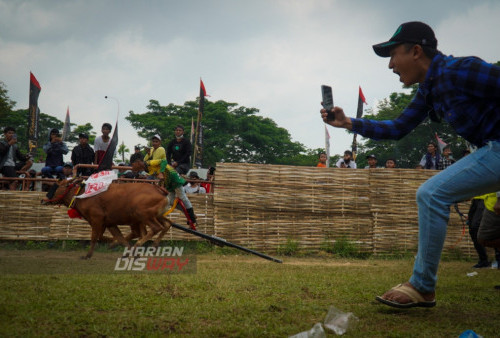 Ajang Karapan Sapi ini menarik antusiasme penonton dari banyak kalangan. Bahkan bukan hanya warga lokal Pulau Garam saja, melainkan juga sejumlah wisatawan asing dari mancanegara berkumpul di Lapangan Stadion Kerapan Sapi R.P Moh Noer, Jawa Timur, Minggu (16/10/2022). 