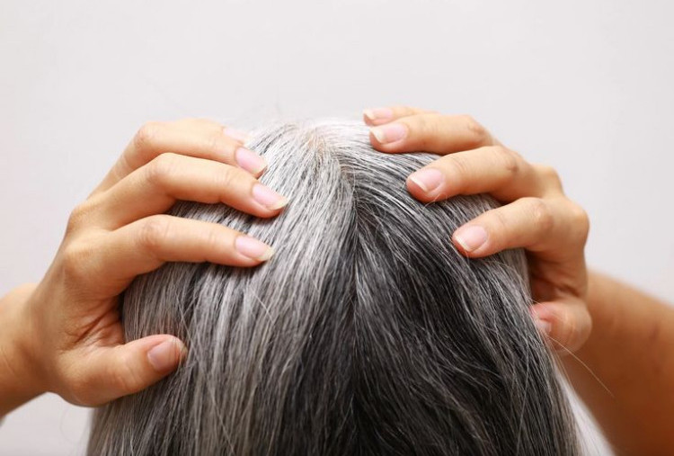 Cara Alami Menghilangkan Uban dengan Minyak Kemiri dan Urang-aring, Benarkah Bisa Permanen?