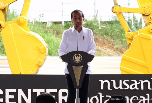 Jokowi Sebut Bos Properti Dubai Akan Gelontorkan Investasi Jumbo ke IKN, Tapi Nilainya Masih Rahasia