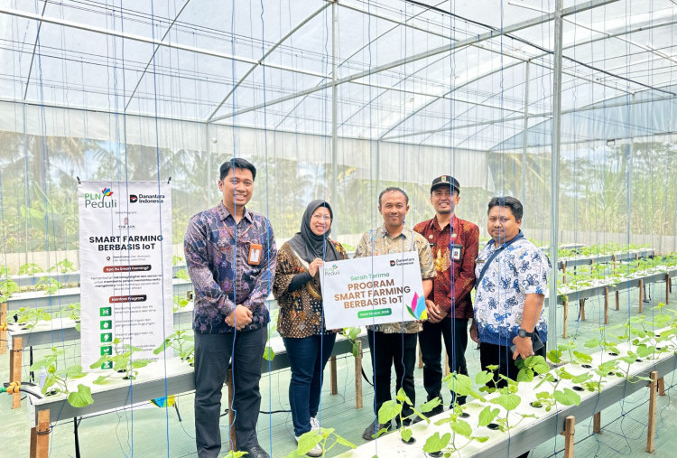 PLN Luncurkan Smart Farming IoT untuk Modernisasi Pertanian Melon di Malang
