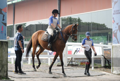 Atlet berkuda mengendalikan kudanya melompati rintangan saat berlatih menjelang Jumping Master 2024 di Kenpark Equeatrian Complex, Surabaya, Jawa Timur, Rabu, 28 Februari 2024. 

Kompetisi Jumping Master 2024 itu diikuti sekitar 124 ekor kuda dari 21 klub tersebut digelar pada 29 Februari hingga 3 Maret 2024. Dengan sejumlah kategori yang diadakan, mulai dari kategori pemula hingga profesional, kompetisi ini memberikan kesempatan bagi semua kalangan untuk berpartisipasi dan menunjukkan kemampuan terbaik mereka dalam dunia jumping. (Julian Romadhon/Harian Disway)

