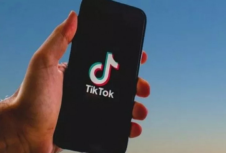 Cara Aman dan Legal Download Video TikTok Tanpa Watermark via Snaptik