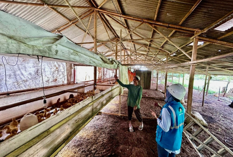 Lebih dari 390 Ribu Pelanggan Manfaatkan Program Electrifying Agriculture dan Marine PLN 