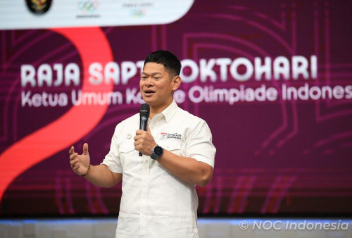 Dukungan BUMN Terhadap Pengembangan Olahraga di Indonesia, NOC Indonesia: Sebagai Stimulan Pihak Swasta