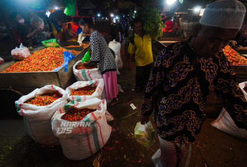 Pedagang menata cabai rawit di Pasar Keputran Surabaya, Jawa Timur, Senin 1 Agustus 2022. Harga jual beberapa jenis cabai di Kota Pahlawan mulai turun seperti cabai menjadi Rp50.000 per kilogram dan cabai merah teropong Rp40.000 per kilogram.