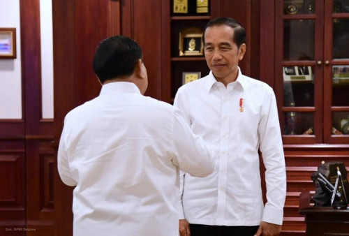 Beberkan Pertemuan Prabowo dan Jokowi di Istana, Gerindra: Segalanya Dibahas, Termasuk Pilpres 