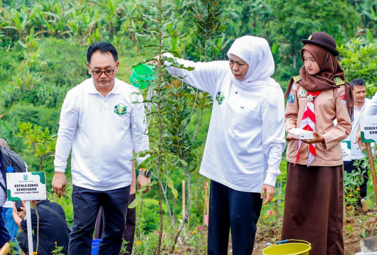 Jatim Dominasi Ekonomi Kehutanan Nasional, Kontribusi Tembus 59 Persen