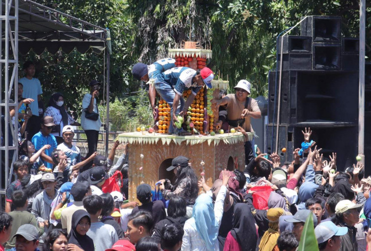 Lebih Dekat Melihat Sedekah Bumi Warga Sambikerep: Ancak Agung Wujud Nyata Keguyuban
