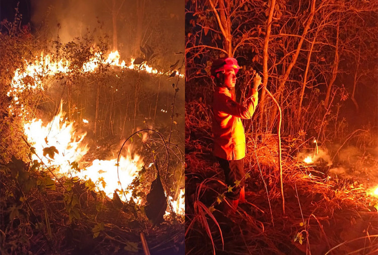 Kebakaran Hutan Menghanguskan Puluhan Hektare Lahan di Belitung Timur dan Jawa Timur
