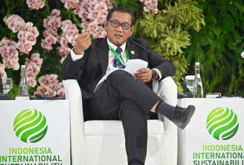 Pentingnya Kolaborasi Global, Pemerintah Rancang Strategi Transisi Energi untuk Capai Net Zero Emissions