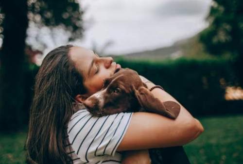 Studi: Tatapan Anak Anjing Ungkap Koneksi Lebih Dalam antara Anjing dan Manusia