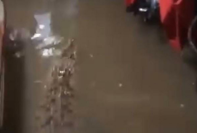 Viral! Buaya Masuk ke Dalam Rumah Warga Saat Banjir, BPBD Bekasi Malah Cek Keaslian Video