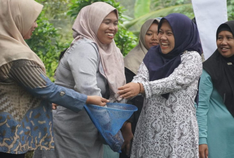 Rumah Pangan PNM Hadir di Purwokerto, Solusi Ketahanan Pangan Berbasis Komunitas