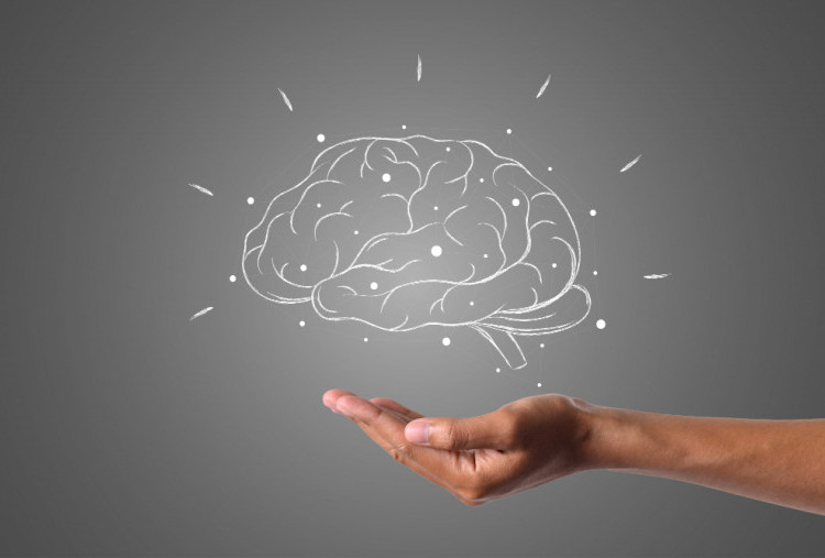Mengenal Hippocampus, Gudang Memori di Otak Manusia yang Jarang Diketahui