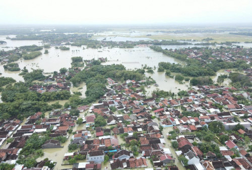 Kota-Kota di Pantura Jawa Tengah Diamuk Banjir dan Cuaca Ekstrim 