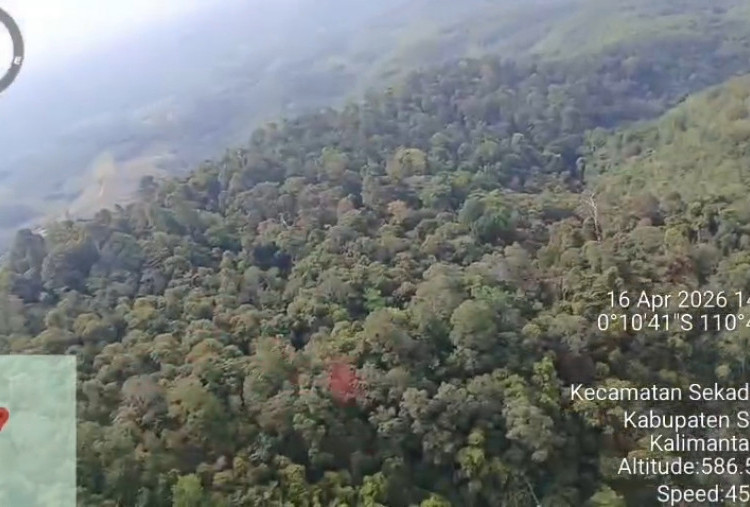 Basarnas Kerahkan Heli Super Puma Cari Korban Helikopter Jatuh di Sekadau Kalbar