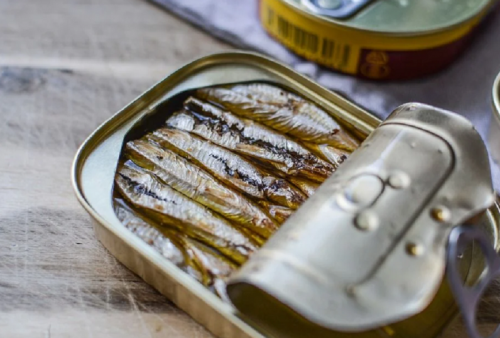 Ikan Sarden, Apa Saja Manfaatnya? Simak Penjelasannya di Sini