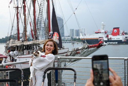 Perusahaan Singapura Luncurkan Kapal Pesiar Mewah Untuk Kucing