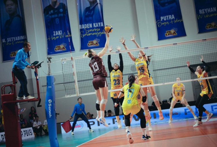 Tundukkan Jakarta Livin Mandiri 3-0, Jakarta Electric PLN Mobile Amankan Tiket Final Four Proliga 2026