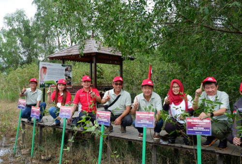Demi Lestarikan Habitat Bekantan, Yayasan AHM Tanam Seribu Mangrove Rambai di Pulau Curiak