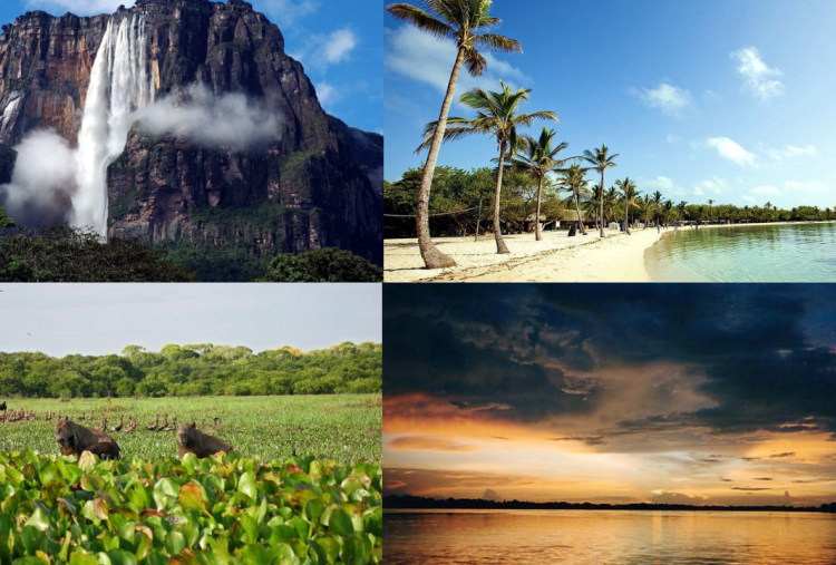 7 Wisata Alam Populer di Venezuela, Ada Air Terjun Tertinggi di Film Up