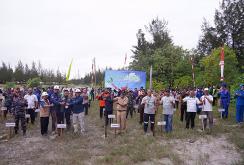 12 Tahun PT Timah Tbk Bersama Yayasan Ikebana Tanam Mangrove di Pesisir Pantai Rebo