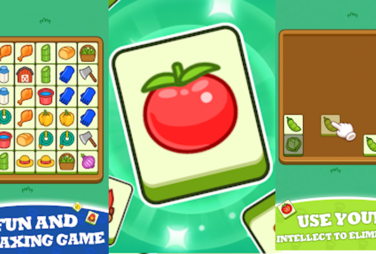 Iseng-Iseng Berhadiah! Cuma Main Game Puzzle Kamu Bisa Tukar Poin Jadi Saldo DANA Gratis Rp650.000 Lewat Apk penghasil Uang, Begini Caranya
