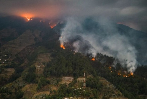 Puncak Musim Kemarau, Potensi Karhutla Tinggi di Jawa dan Sumatera 