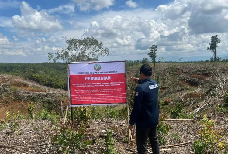 5 Kawasan Pembalakan Liar Diduga Biang Kerok Banjir Sumatera Disegel, Ditemukan Aktivitas Ilegal!