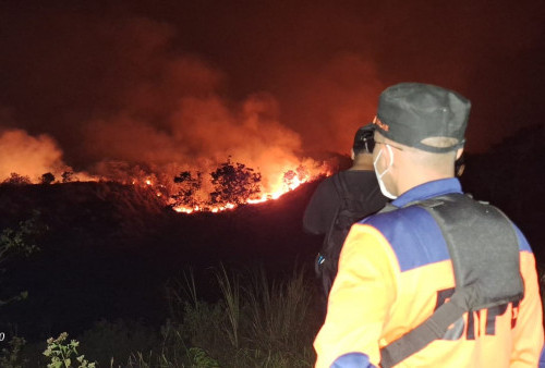 Hutan Taman Nasional Gunung Ciremai Kebakaran, 133 Hektar Dilalap Si Jago Merah 