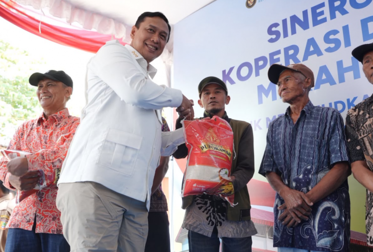 BULOG Perluas Distribusi Pangan KDKMP, 1.985 Koperasi Terlayani untuk Akses Beras SPHP