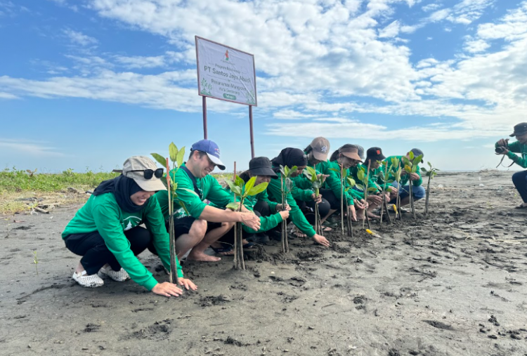 Genjot Rehabilitasi Ekosistem Pesisir dengan Tanam 2.500 Bibit Mangrove