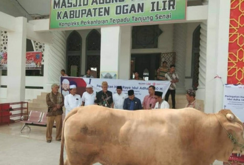 Masjid An-Nur Siapkan 700 Kupon Daging Kurban