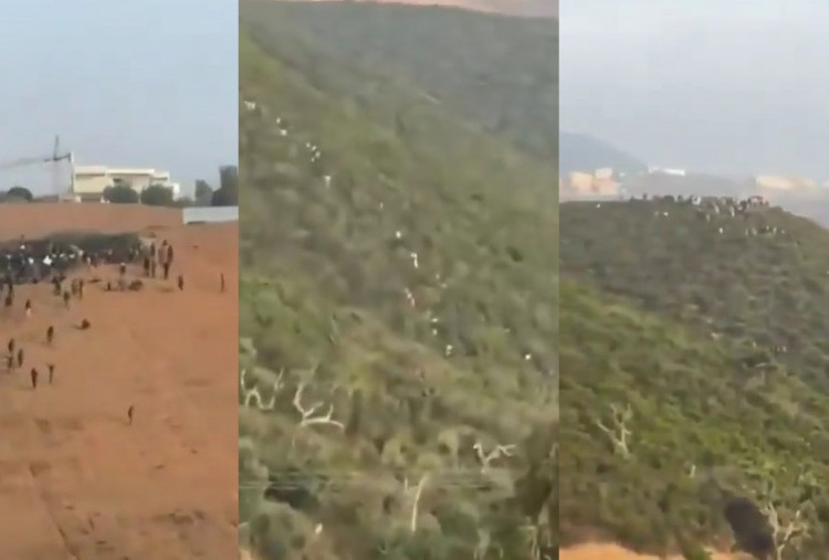 Maroko Tangkap 111 Migran yang Berusaha Menyeberang ke Ceuta, Spanyol