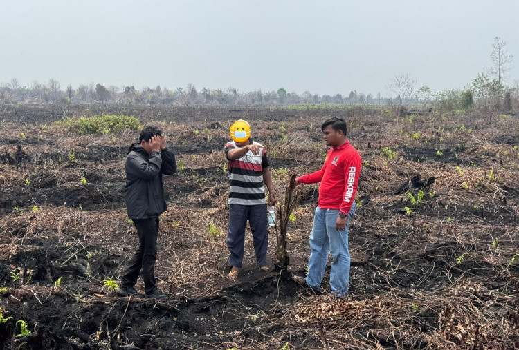 Kebakaran Lahan di Bengkalis Berujung Pidana, Pemilik Lahan Jadi Tersangka