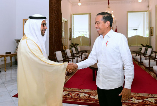 Jokowi Sambut Kunjungan Dubes Persatuan Emirat Arab di Istana Merdeka