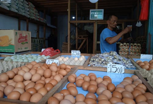 Ironi Harga Telur 