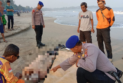 Identitas WNA Ditemukan Tewas di Pantai Marbella Terungkap