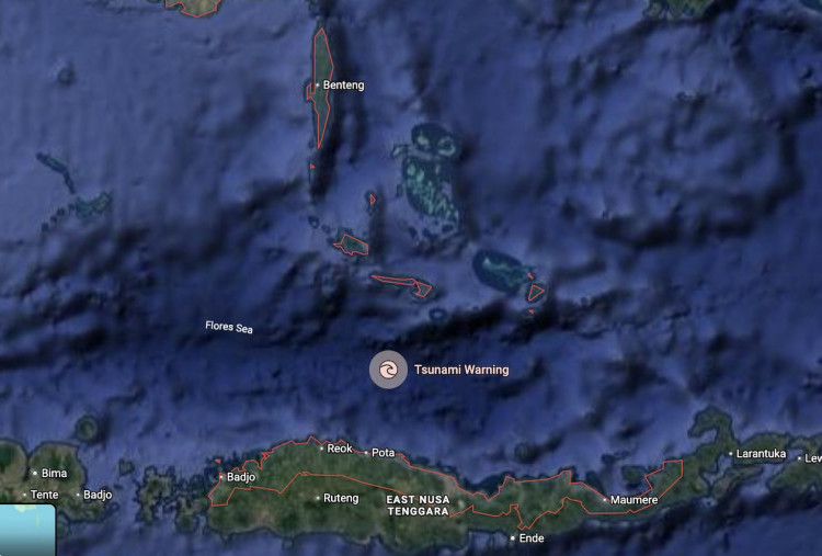 Apa Itu Flores Back Arc Thrust? Penyebab Gempa Dahsyat M7,7 di NTT