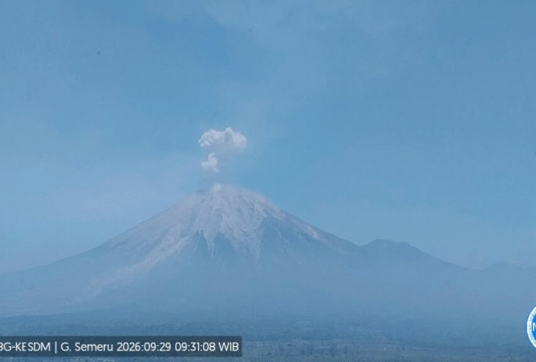 Gunung Semeru Kembali Berdentum, BPBD Lumajang Pastikan Kondisi Aman