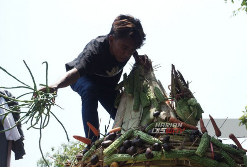 Warga berebut hasil bumi saat berlangsungnya sedekah bumi di Made, Sambikerep, Surabaya, Jawa Timur, Minggu, 15 Oktober 2023. Sedekah Bumi atau ruwat desa dengan 4 gunungan hasil bumi berukuran raksasa itu digelar sebagai wujud rasa syukur kepada tuhan yang maha esa atas rizki yang diberikan kepada para warga Made, Sambikerep. (Ahmad Rijaluddin Erlangga/Harian Disway)

