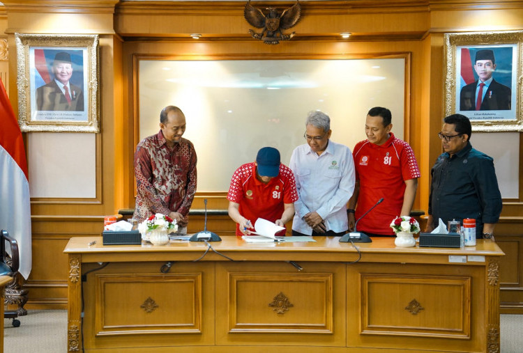 Nasib Gajah Sumatra dan Kalimantan Dipertaruhkan, Menhut Raja Juli Siapkan Strategi Konservasi