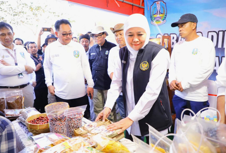 Jatim Juara Nasional Perhutanan Sosial, Transaksi Ekonomi Kelompok Tani Hutan Tembus Rp644 Miliar